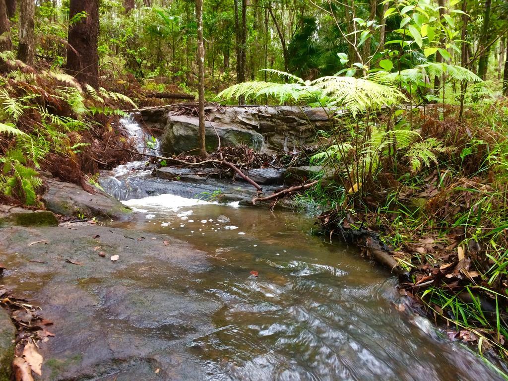 Appartamento Noosa Hinterland Retreat Tinbeerwah Esterno foto